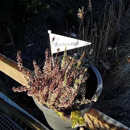 Haus Edzards Neuharlingersiel